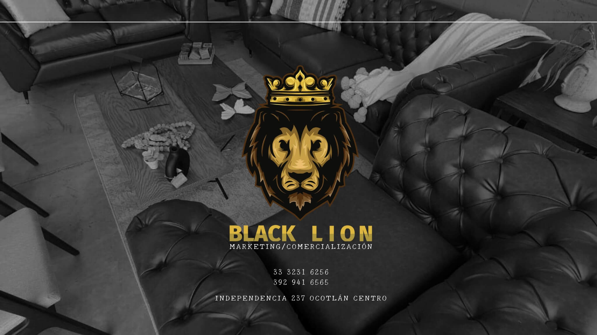 Contacto BLCOMERCIAL